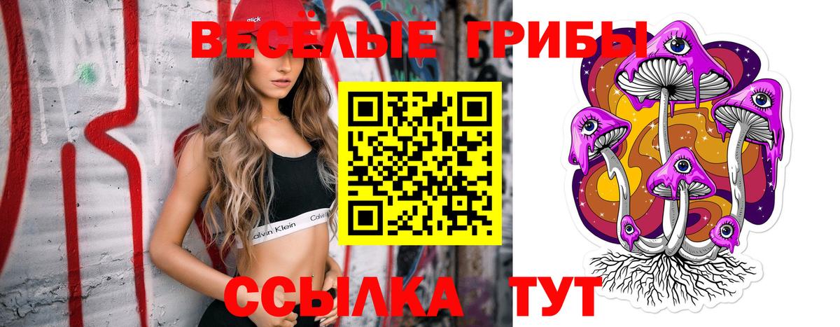 Псилоцибиновые грибы ЛСД Шахты