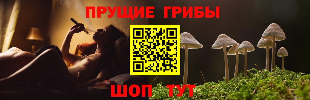 Псилоцибиновые грибы ЛСД  Вход с VPN  Шахты 